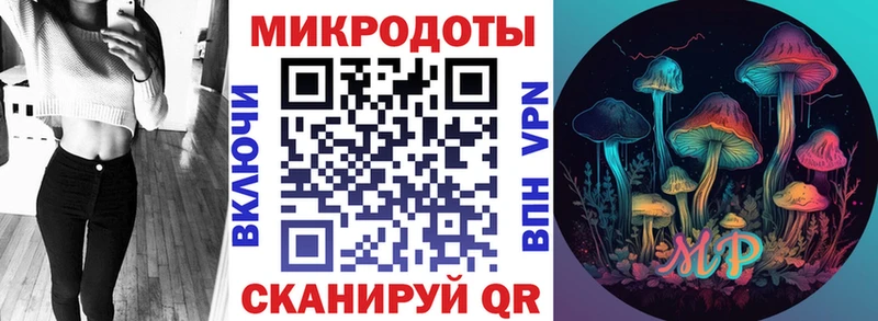 Псилоцибиновые грибы Psilocybe  Лакинск 